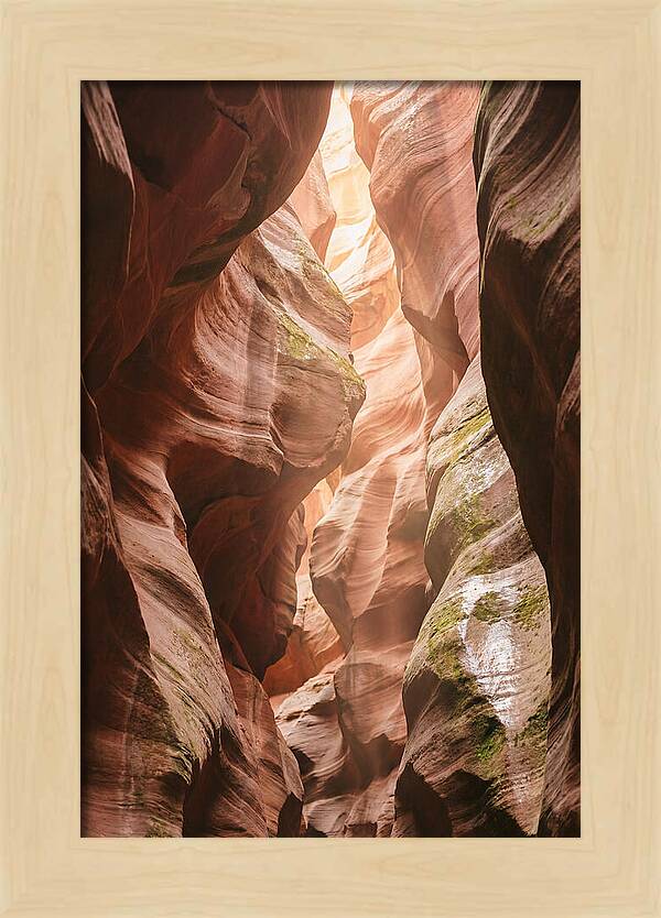 Intimate Light Passage In Zion