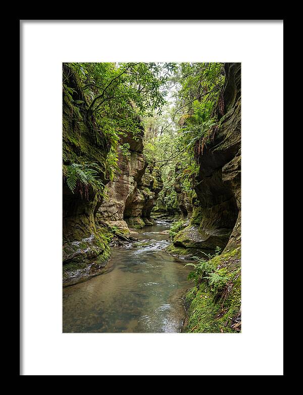 Intimate Sandstone Canyon