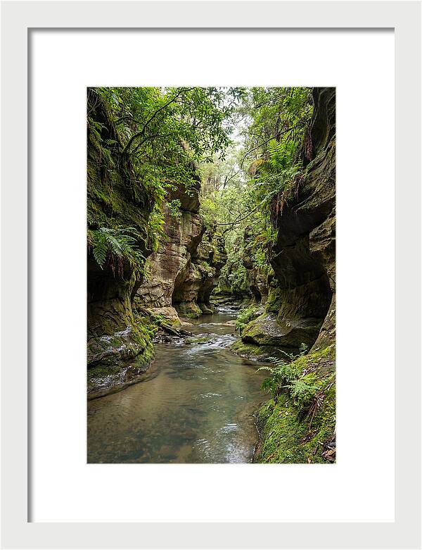 Intimate Sandstone Canyon