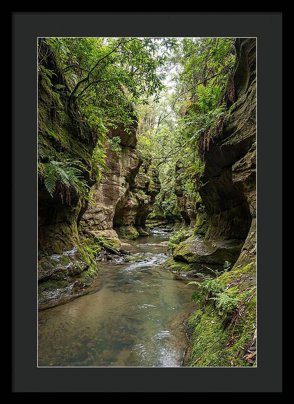 Intimate Sandstone Canyon