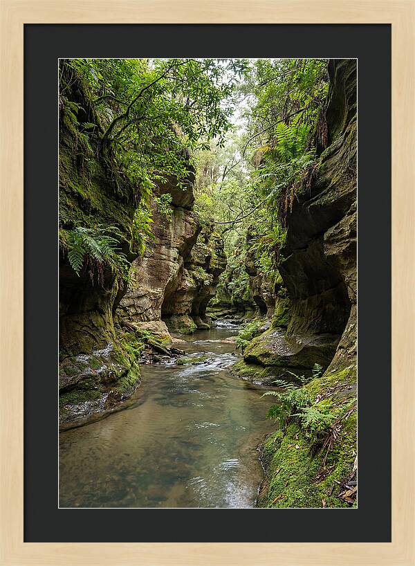 Intimate Sandstone Canyon