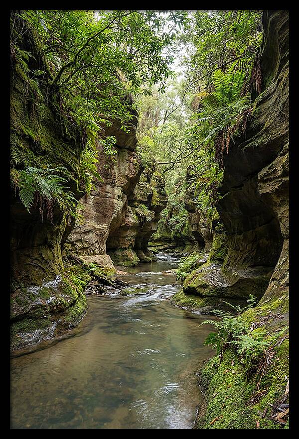 Intimate Sandstone Canyon