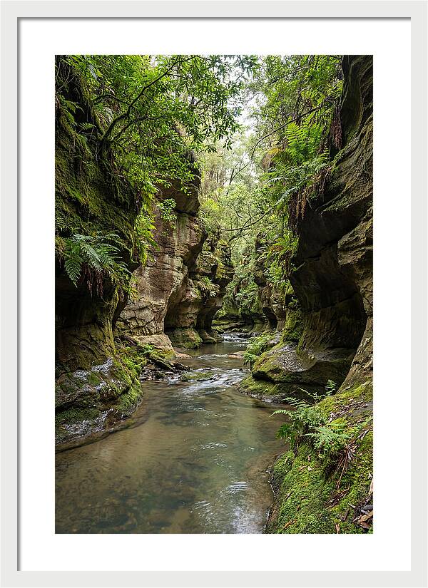 Intimate Sandstone Canyon