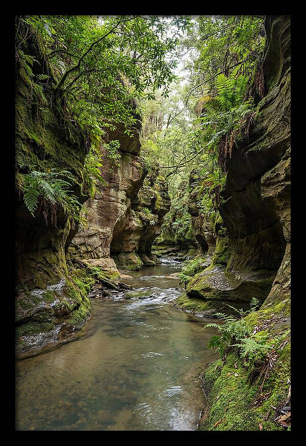 Intimate Sandstone Canyon