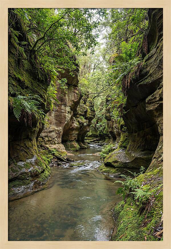 Intimate Sandstone Canyon