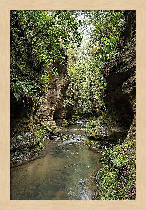 Intimate Sandstone Canyon
