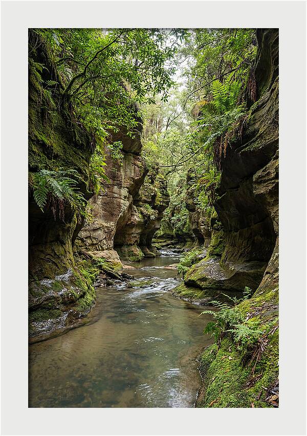 Intimate Sandstone Canyon