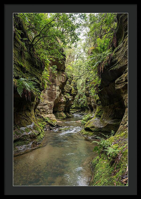 Intimate Sandstone Canyon
