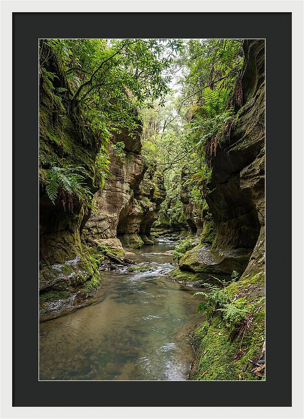 Intimate Sandstone Canyon