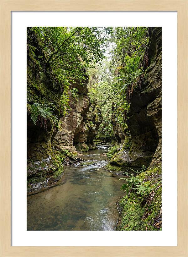 Intimate Sandstone Canyon