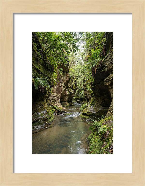 Intimate Sandstone Canyon
