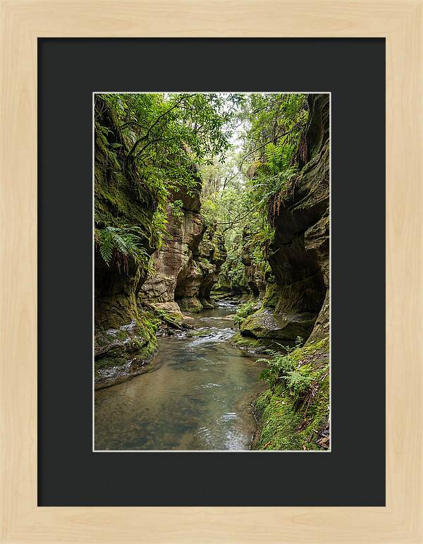Intimate Sandstone Canyon