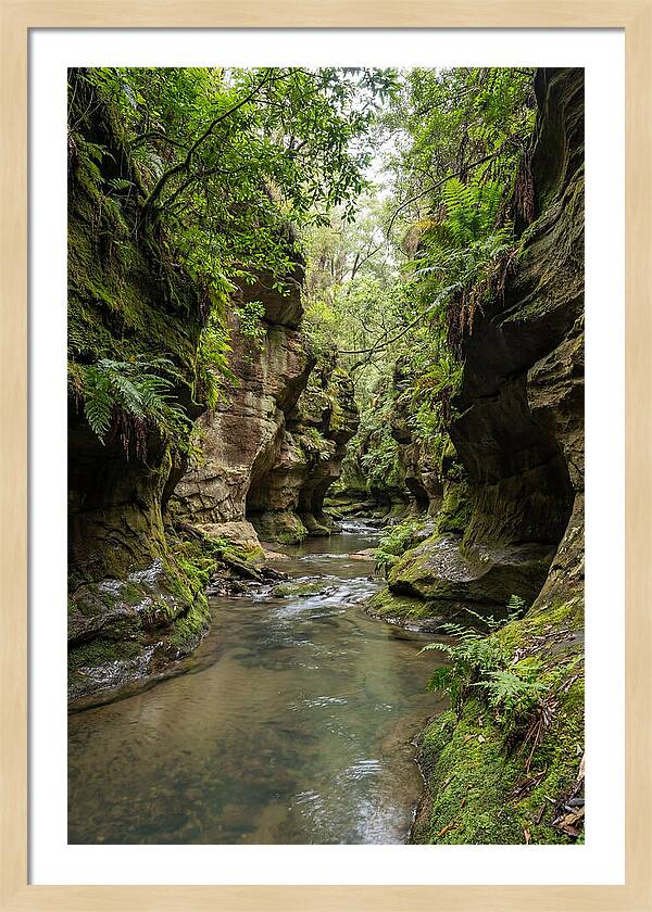 Intimate Sandstone Canyon