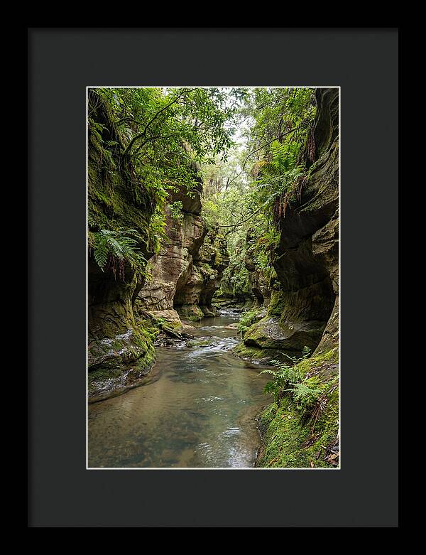 Intimate Sandstone Canyon