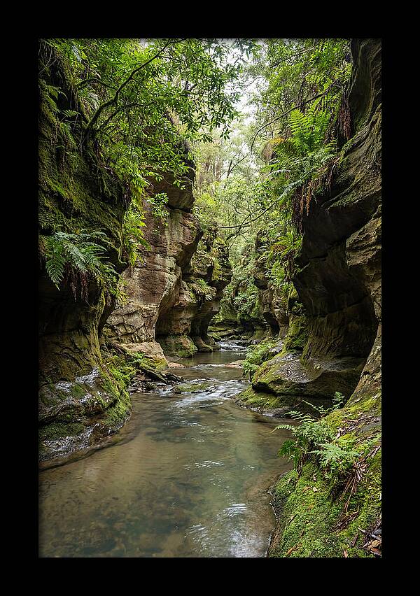 Intimate Sandstone Canyon