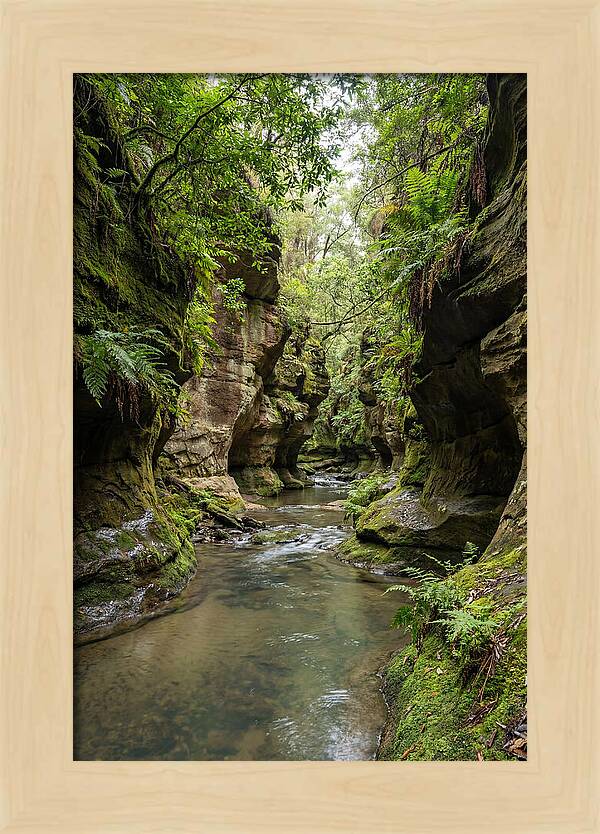 Intimate Sandstone Canyon