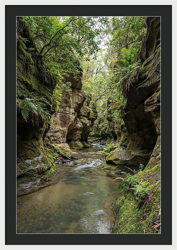 Intimate Sandstone Canyon