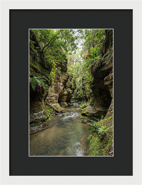 Intimate Sandstone Canyon