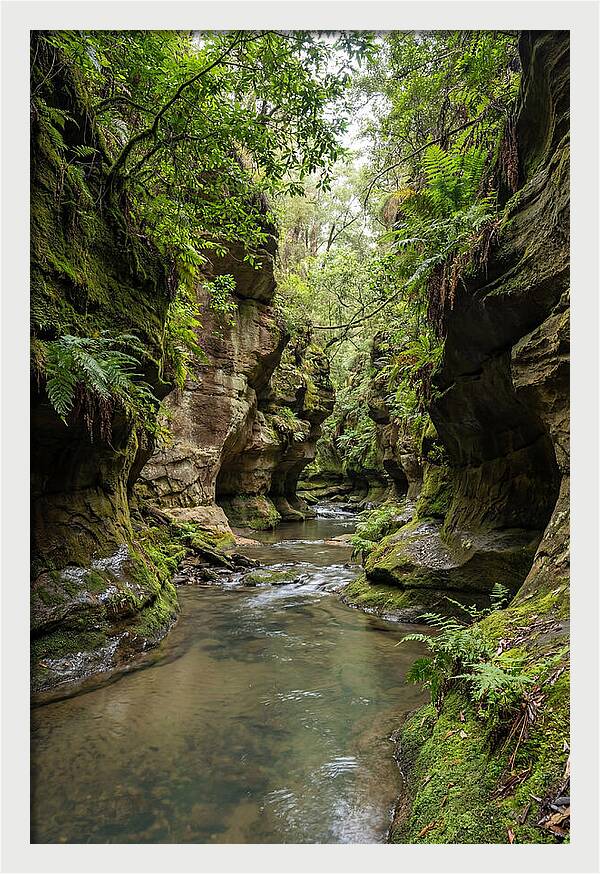 Intimate Sandstone Canyon