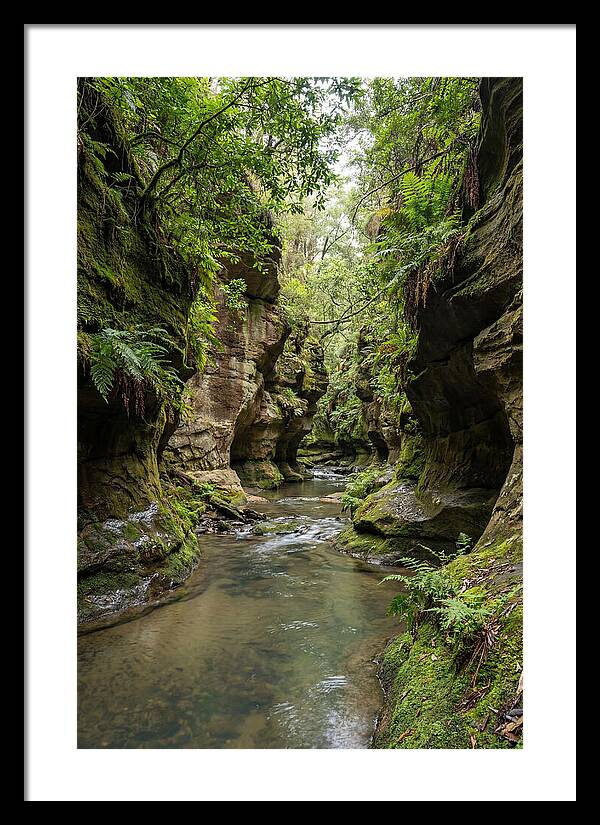 Intimate Sandstone Canyon