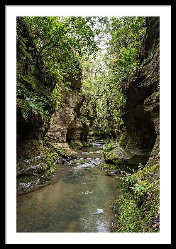 Intimate Sandstone Canyon