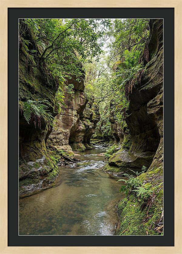 Intimate Sandstone Canyon