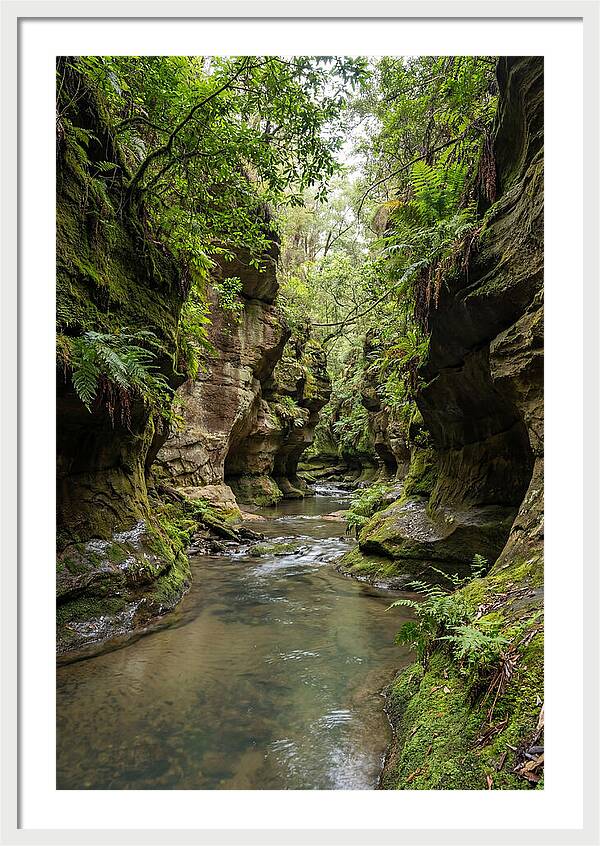 Intimate Sandstone Canyon