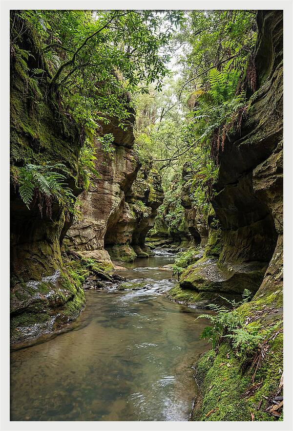 Intimate Sandstone Canyon