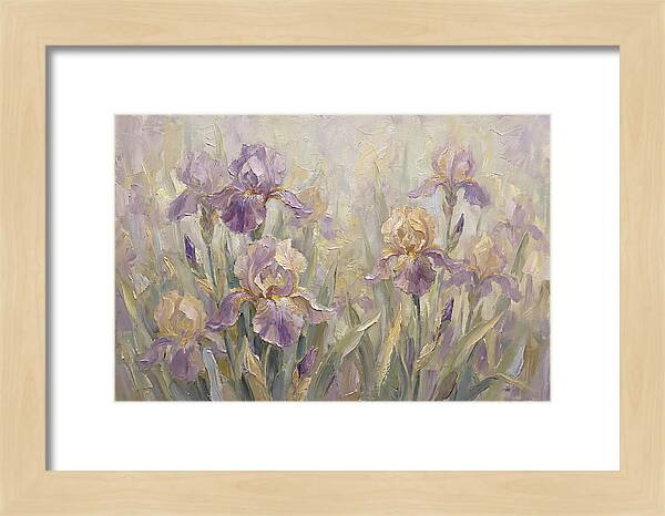 Iris Blossoms In Purple And Gold