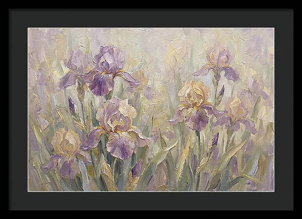 Iris Blossoms In Purple And Gold