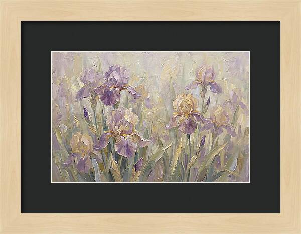 Iris Blossoms In Purple And Gold