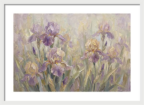 Iris Blossoms In Purple And Gold