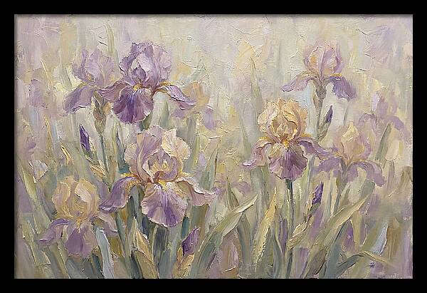Iris Blossoms In Purple And Gold
