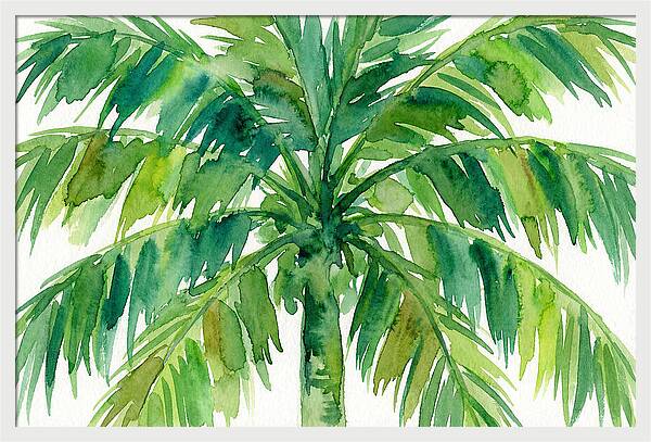 Island Palm Serenity