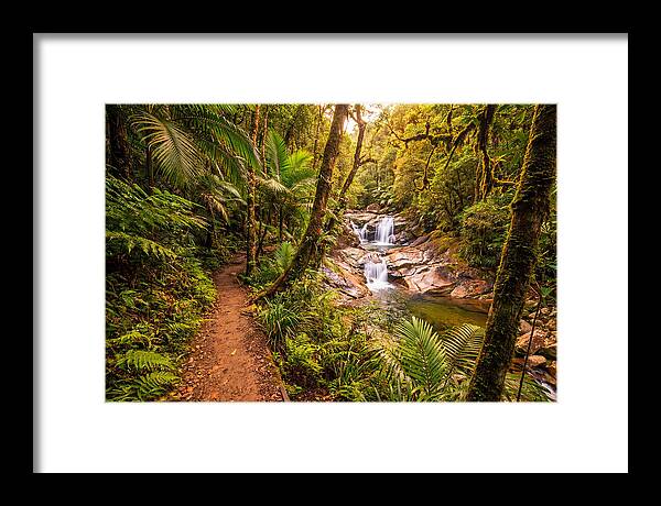 Island Waterfall Hike Trail