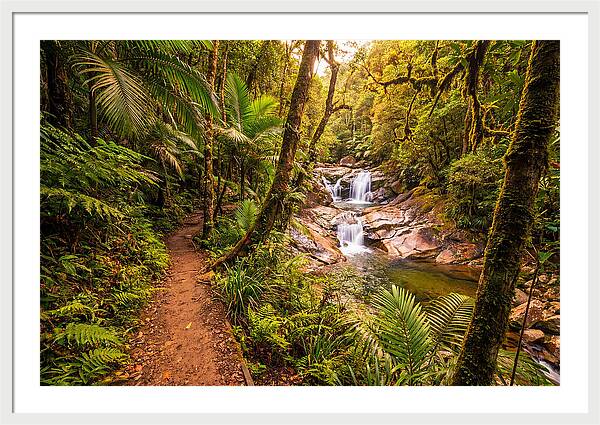 Island Waterfall Hike Trail