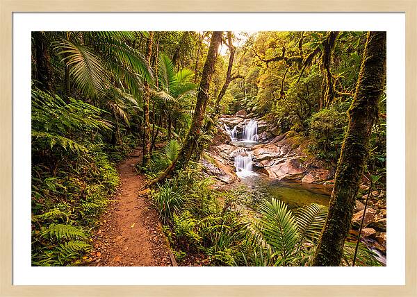 Island Waterfall Hike Trail
