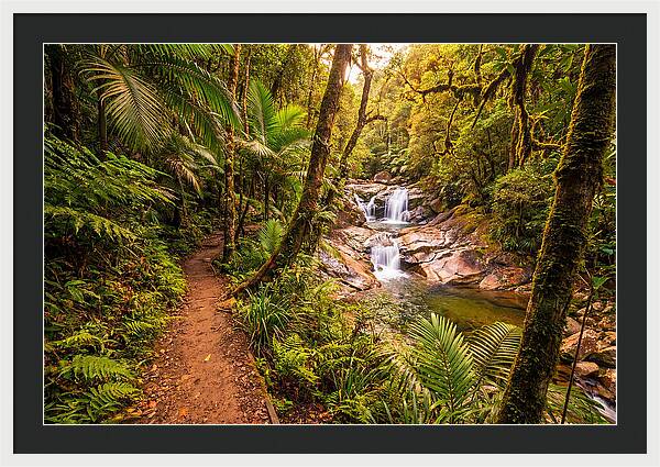 Island Waterfall Hike Trail