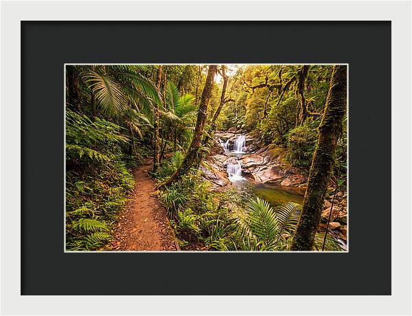 Island Waterfall Hike Trail