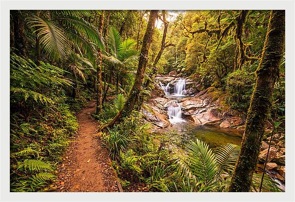 Island Waterfall Hike Trail
