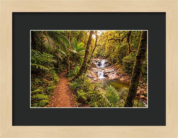 Island Waterfall Hike Trail