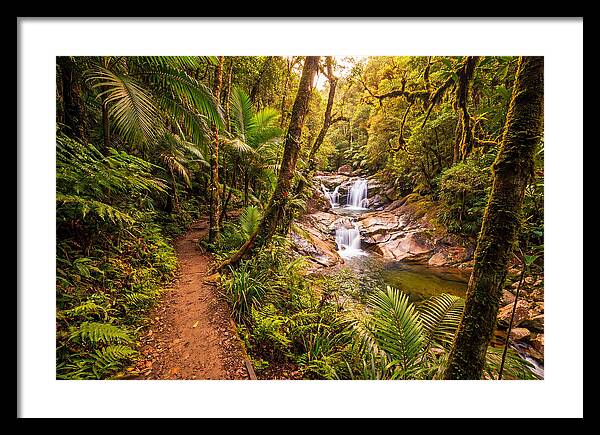 Island Waterfall Hike Trail