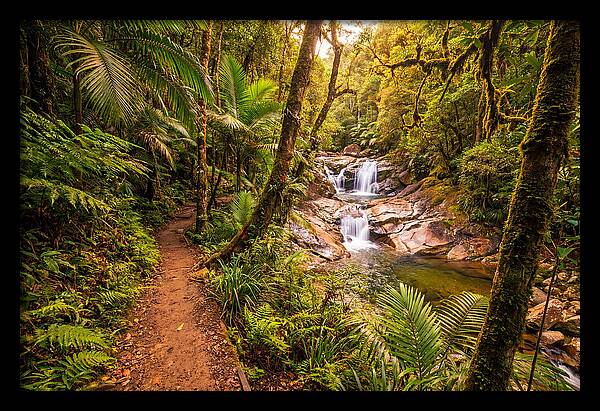 Island Waterfall Hike Trail