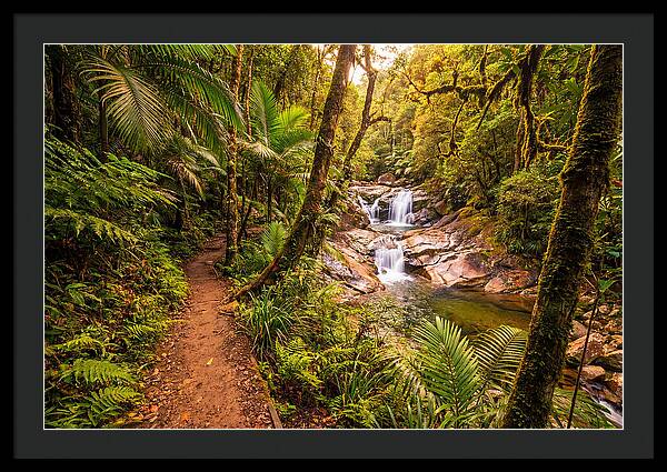 Island Waterfall Hike Trail