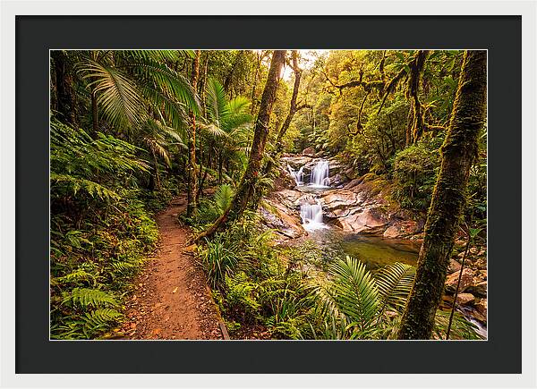 Island Waterfall Hike Trail
