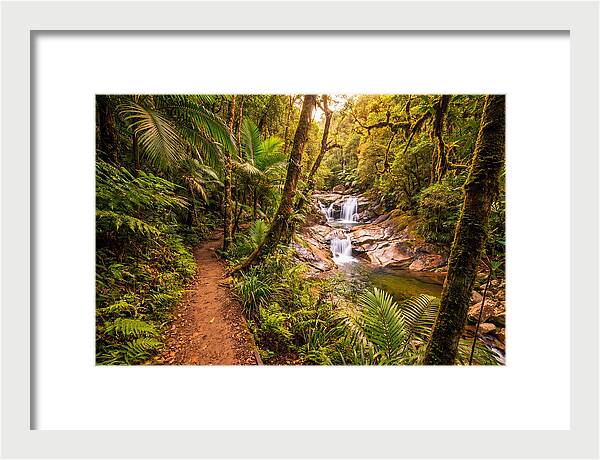 Island Waterfall Hike Trail