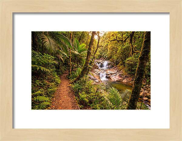 Island Waterfall Hike Trail