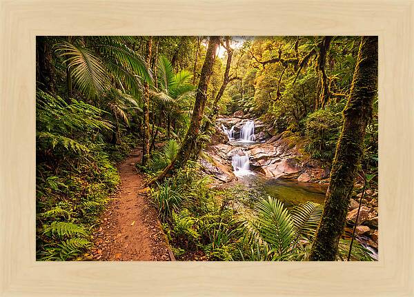 Island Waterfall Hike Trail
