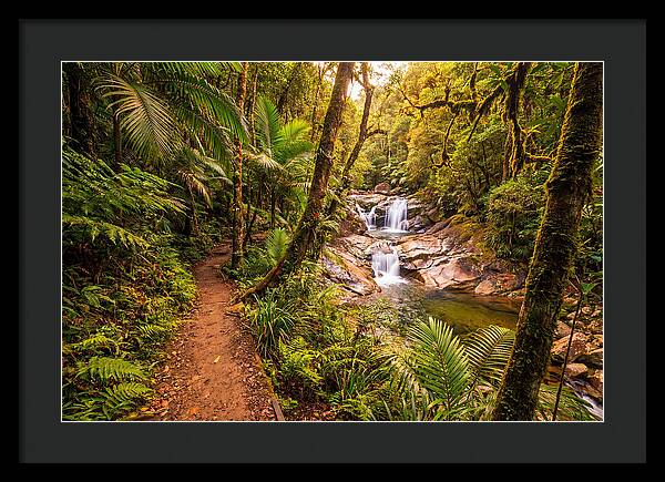 Island Waterfall Hike Trail