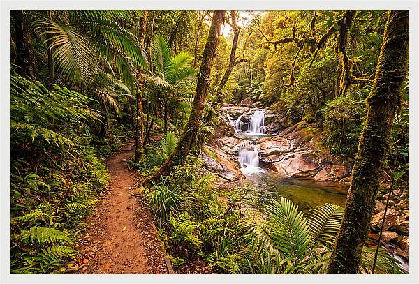 Island Waterfall Hike Trail